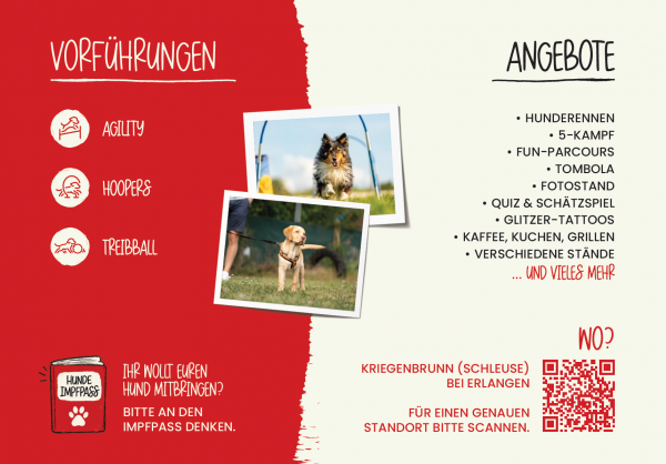 Flyer Frankendogs 2